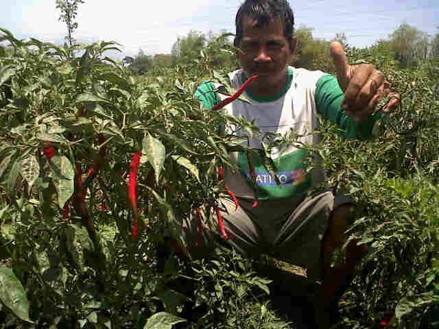 (y) (y) (y) Madiun Hj.Kateno Dimas Tumpang Tindih Dgn Mbak.Sritanjung& Neng.Seruni...