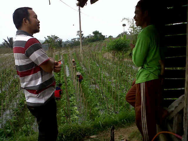 ASC Sedang Ngontrol Sari F1 Di Kebun P Aka Cisayong.