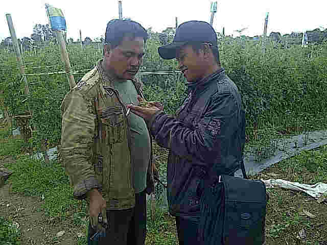 Asp Sariono Menjelaskan Pencegahan Ulat Pd Pak Purba (ptn Yg Tanam Yasmin 3500 Btng Di Purba Dolok).