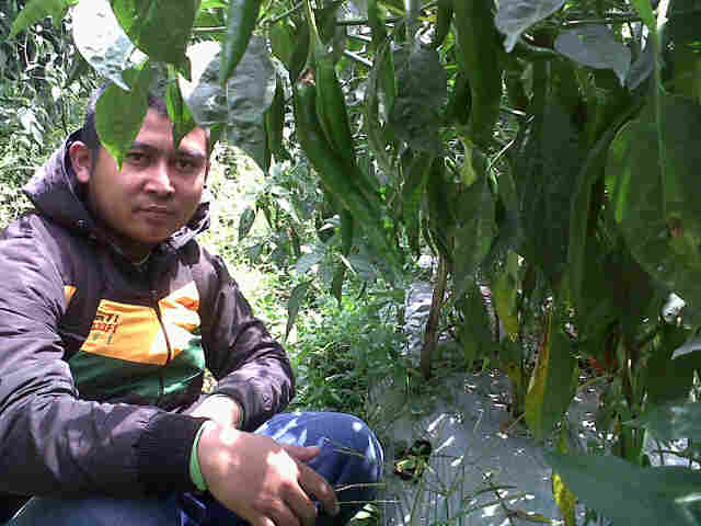 Bangga Dengan Sari F1, Joss