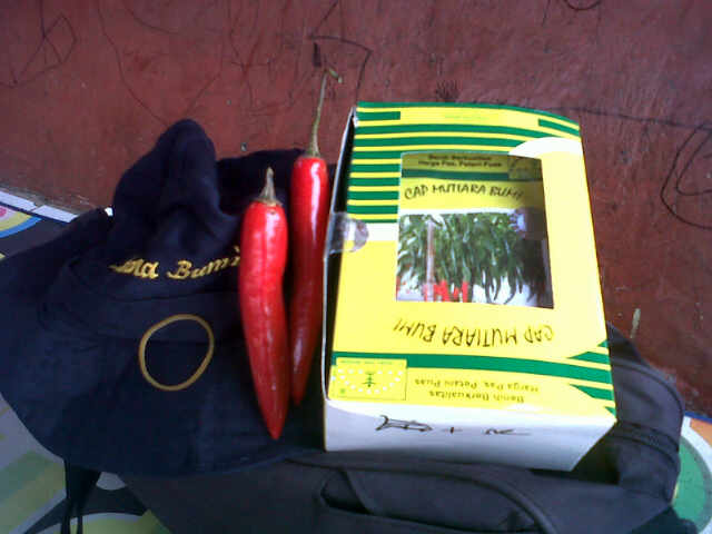 Dgn Sampel Buah Sari, Pak Haji Tertarik Mau Nyoba 30 Pcs