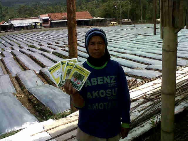 Ibu Ahmad, Cibeuruem, Siapp Tanding, Sari F1, No D310, S 104 Vs Filar Dan Dewa Rengku