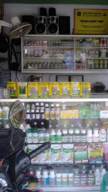 Lg Kunjungan Ke Kios Olipia Ds.mekar Sari