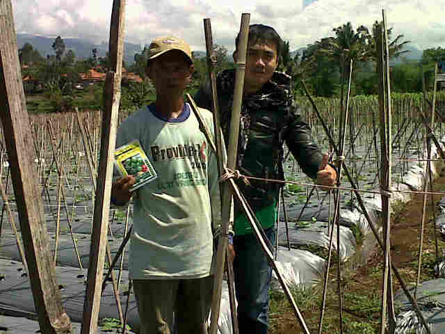 Lahan Ayunda Dn Panjalu