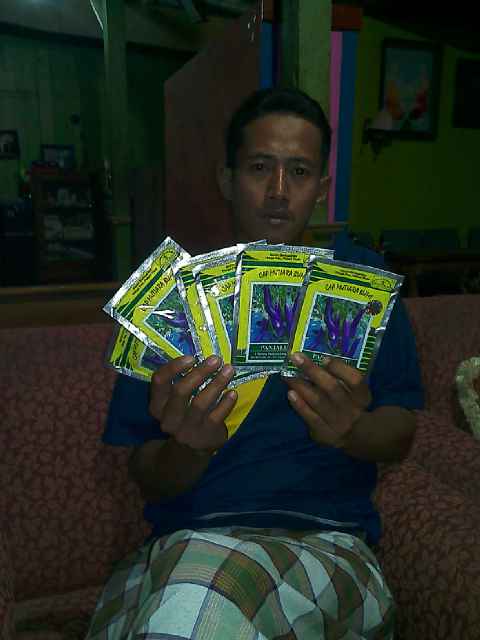 M Listiyanto Siap Tanam Panjalu 6 Pcs.