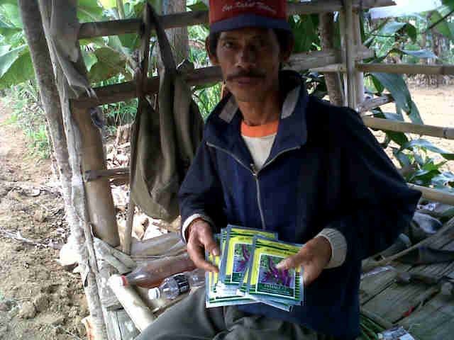 Pak Anwar Mau Tanam Panjalu 12 Pcs
