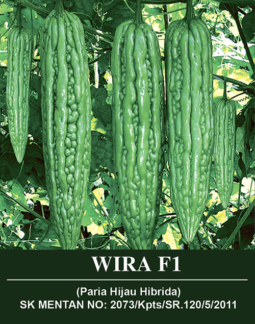 Benih WIRA F1 Mutiara Bumi