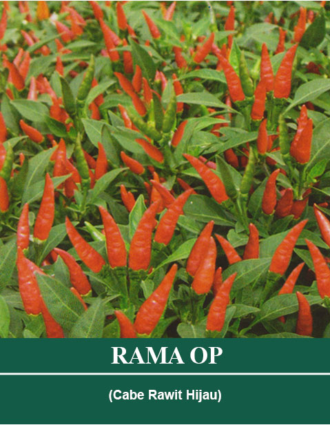 Benih RAMA OP Mutiara Bumi