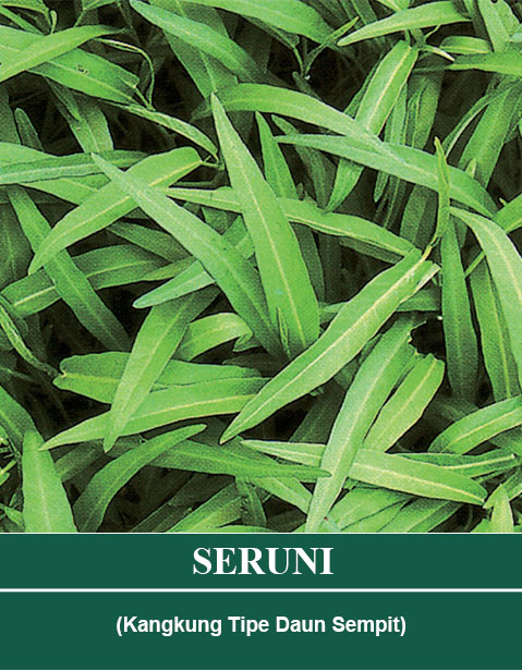Benih SERUNI Mutiara Bumi