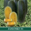 Semangka Hibrida JAMANIKU