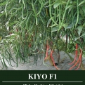 Cabe Keriting KIYO